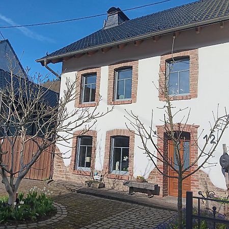 DumpelfeldEifler Brunnenhaus别墅 外观 照片