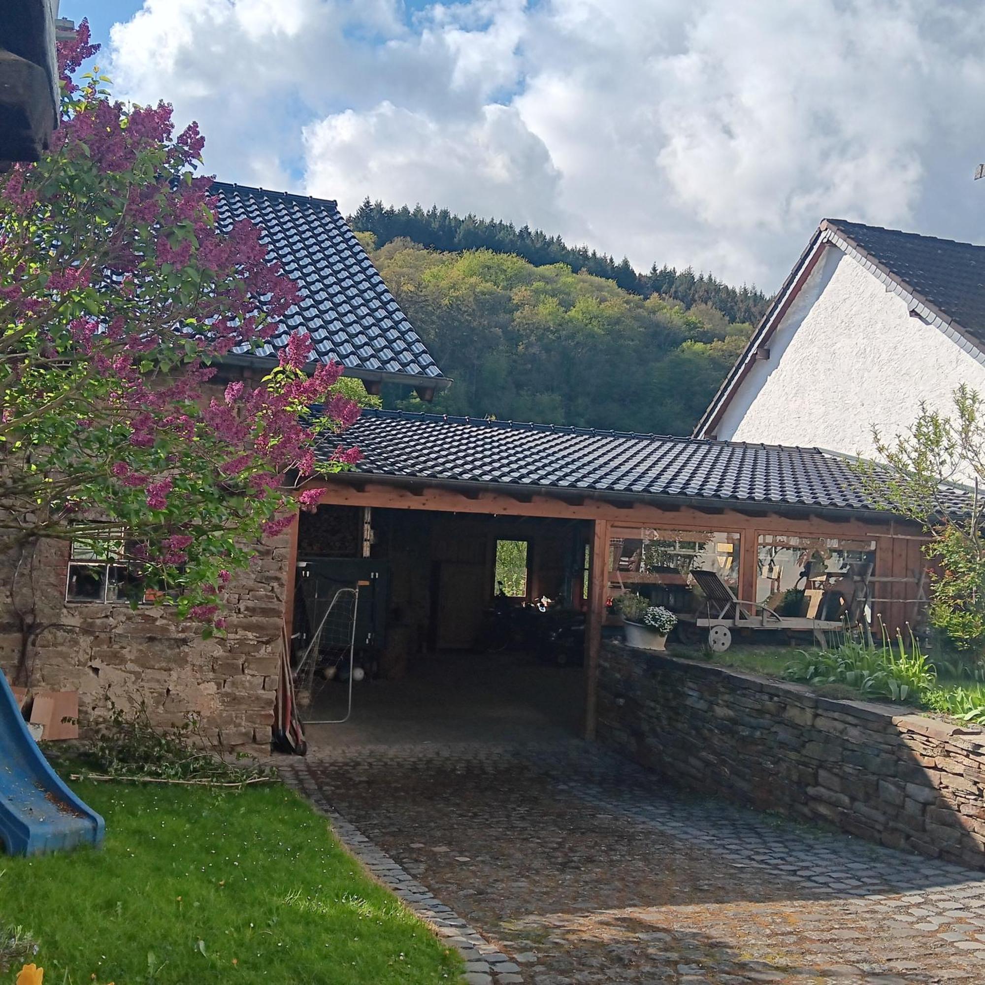 DumpelfeldEifler Brunnenhaus别墅 外观 照片